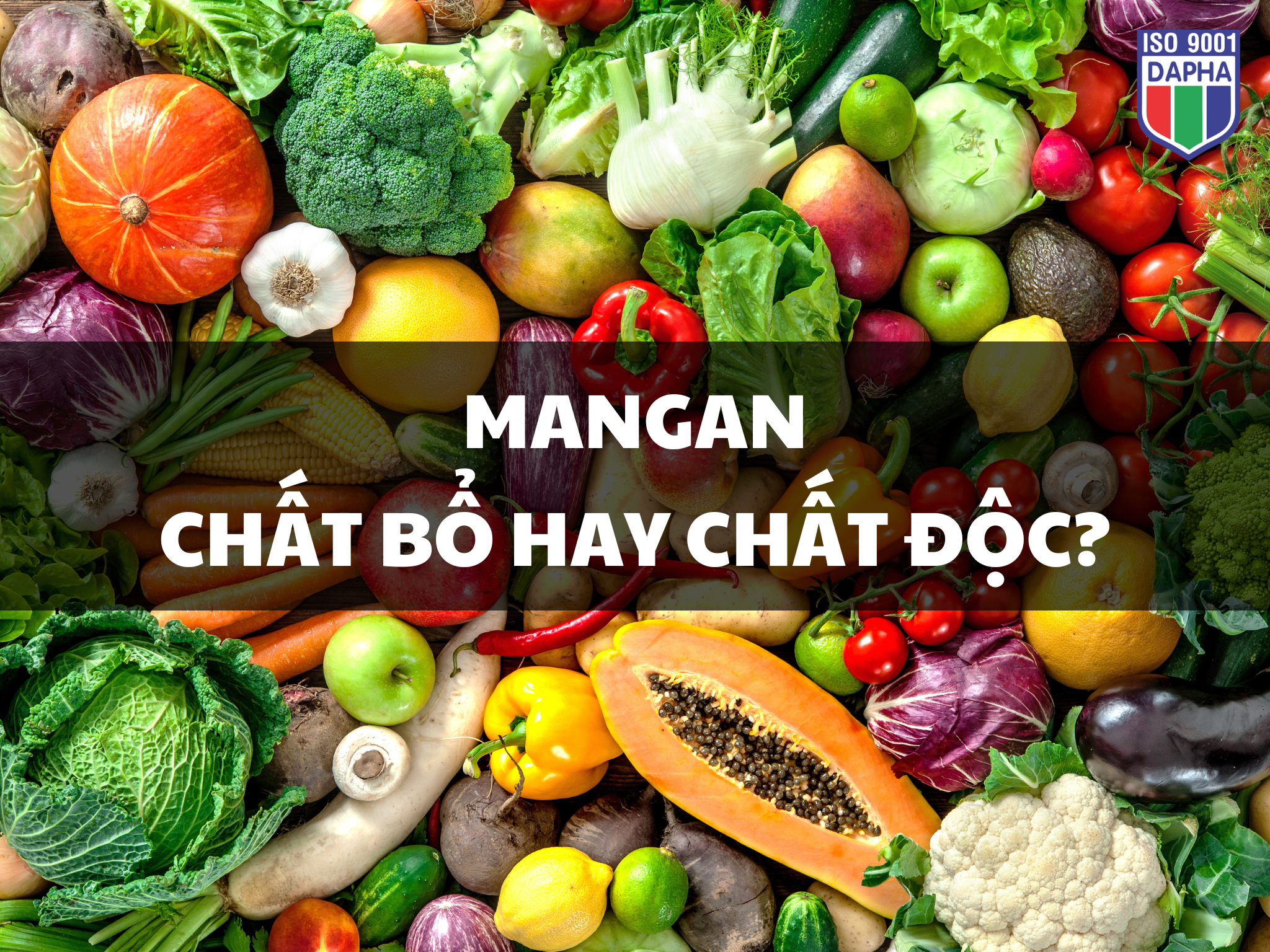 Mangan bo hay doc